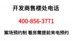 仍是对衡宇交付尺度、物业办事等细节